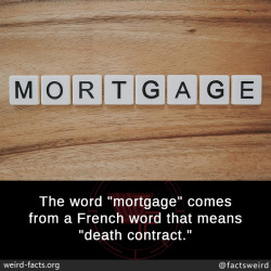 mindblowingfactz:  The word “mortgage” comes from a French