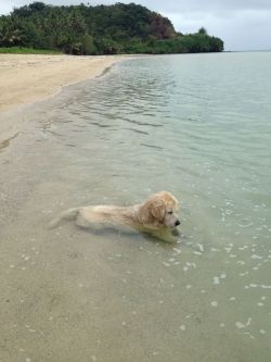 m-ooonn:  she sat in the water for like an hour, just staring