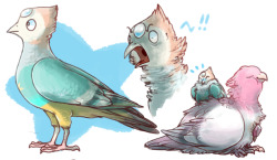 iguanamouth:please click through htese birds, i beg of you