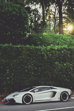 auerr:  Lamborghini Aventador 