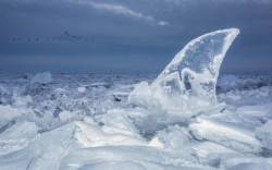 Sharknado? Pfft. Try Shark Icestorm! (photographed near Port Stanley, Ontario)