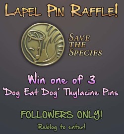 fauxlacine:Win a Dog Eat Dog lapel pinThis raffle is for followers