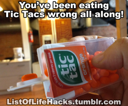 gayngreenvillesc:  chubbymon:  listoflifehacks:  If you like