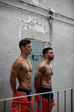 testosterdome.tumblr.com/post/183678080080/