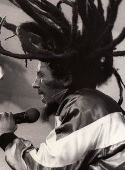 70rgasm:Bob Marley on stage  when your dreadlocks match/represent