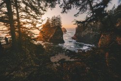 brianstowell:Rugged Oregon Coast   Man I miss the views in the