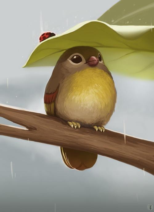 tlcook:  Just a wee birb, waiting it out.   