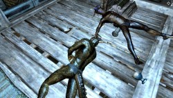 You wake up absolutely confused as to why there are naked argonians