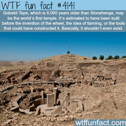 wtf-fun-factss:  Things that history can not explain -  WTF fun