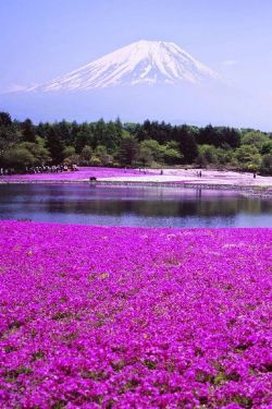 expression-venusia:  Mt. Fuji Expression Photography  I would