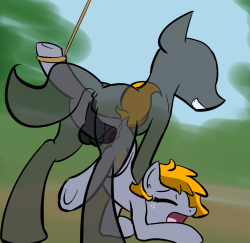 sonicdashasked: I say a anon pony takes her from behind while