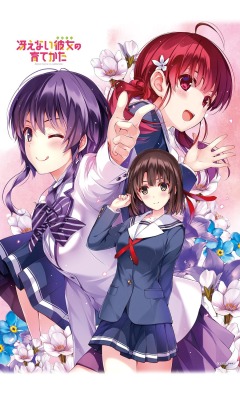 misaki kurehito saenai heroine no sodatekata hashima izumi hyoudou