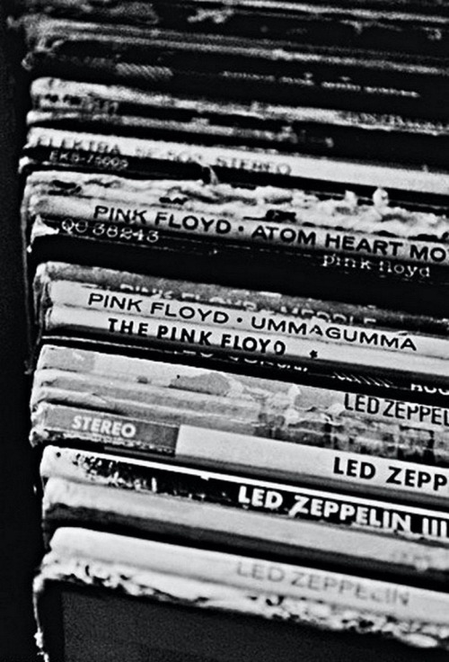 hunnybunnysworldblog:  🎶💋