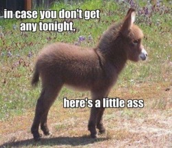 memeguy-com:  For pretty much everyone here tonight