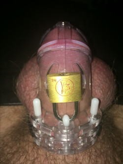 cumtobdsm:  Reddit /r/chastity user KinkyTeddy is caged while