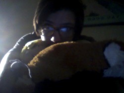 I wasn’t joking about this stuffed animal hoard there’s