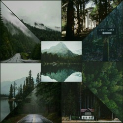 moodboardlgbt:  I’m gay and I love forests  Give credit if