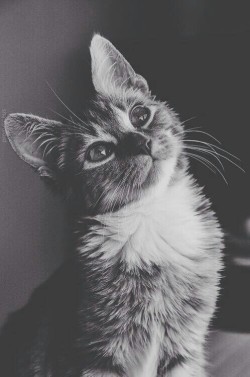 streamy-dream:  . | via Tumblr on We Heart It. 