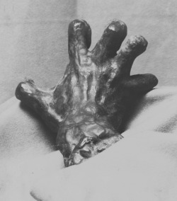 inritus:  Study of Rodin's The Clenched Hand, late 1890s. Photographed