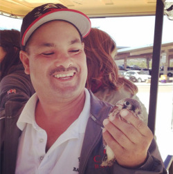 cute-overload:  My school janitor rescued a baby hawk todayhttp://cute-overload.tumblr.com