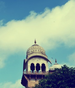 swapnil1690:  Mughalai Chatri, Albert Hall, Jaipur