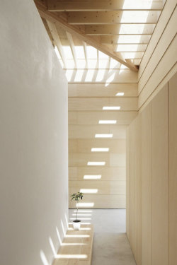 ombuarchitecture:  Light Walls House Located in Toyokawa city,