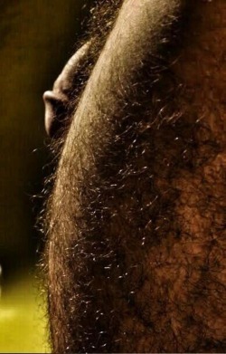 Hairy Makes Me Horny