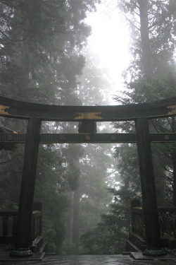 de-preciated:  Mist Over Torii Gate (by calzean) Nikko - Tosho-gu