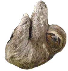 queenscylla:  shadowjen:  queenscylla heres the transparent sloth