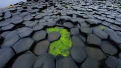 outdoors-photography:  Giant’s causeway, County Antrim, Ireland.