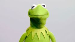 official-kermit:  twinkcharacteroftheday:  The Twink Character