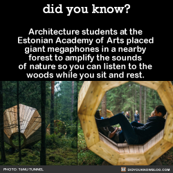 did-you-kno:  Architecture students at the Estonian Academy of