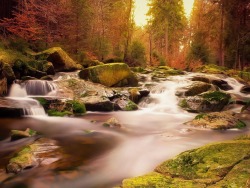 sublim-ature:Harz NP, GermanyAndy Donath