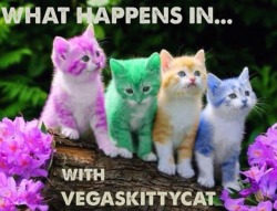 vegaskittycat:  Check it out Monday February 20 on @cheesewhizexpress