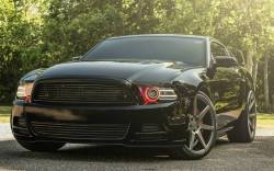 anrill:  Mustang GT