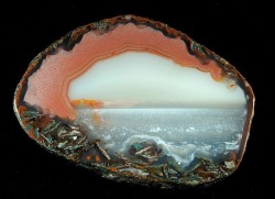 sixpenceee:  The cross-section of the above agate looks like
