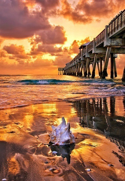 Let’s linger on ’til the light is gone (Juno Beach pier, Florida)