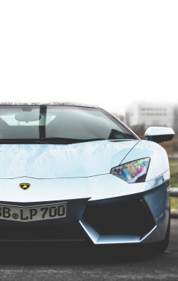 stayfr-sh:  Aventador | SF 