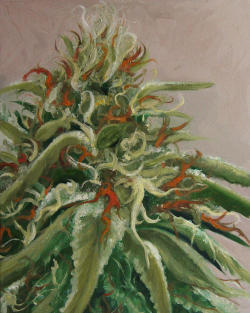 Cannabis Art