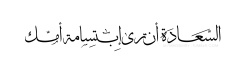 muslame:  “Happiness is seeing your mother smile.” 