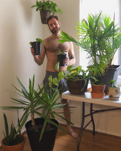 belly-rubs: belly-rubs:  3 months on the west coast & plant