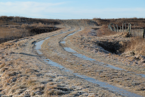 mostlythemarsh:Other Side