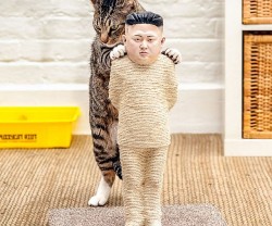 thecoolstuffs:  Kim Jong-un Cat Scratching Post, An incredibly