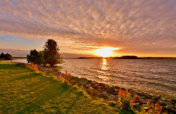 forbiddenforrest:  Rutland Water Nature Reserve by Paula J James