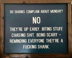 You&rsquo;re gonna need a bigger plaque&hellip;