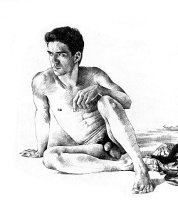 douglassimonson:The Pareo, pencil drawing by Douglas Simonson