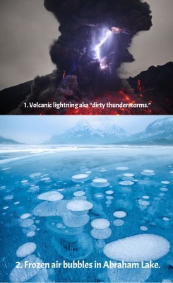 daphneashbrook:  terra-mater:  15 amazing things in nature you