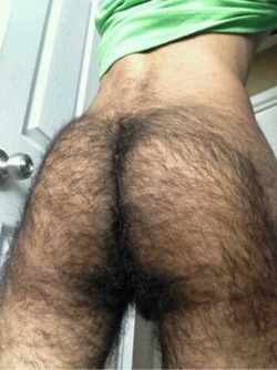 Hairy Arses