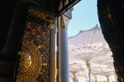 الشباب الى الأبد