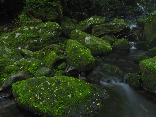 ps1:  bright green, deep green